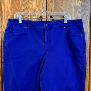 Talbots Women's Vibrant Blue Straight Leg Jeans